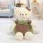 Yangzhou Plush Toy Factory Supply Elegant Teddy Bear Toy With Dress