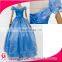 Apparel Ladies' Fancy Dress Adult Women Cinderella Princess Dress Cosplay Costume