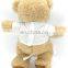 custom cute mini plush teddy bear with t shirt for sublimation for company sourvenirs