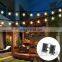 Festoon Lighting Waterproof IP65 Solar Powered LED String Lights with 3V Solar Panel for Outdoor Use