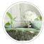 Automatic Creative Live Fountain Ceramic Pet Bowl Intelligent Cats Dogs Smooth Glaze Bowl Neck Protection