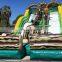 Dual Lane Inflatable Jungle Water Slides For Sale