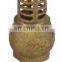 BWVA Brass Water Pump Foot Valve Producer