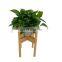 Adjustable Plant Stand Mid Century Modern Bamboo Wood Indoor Plant Holder Adjustable Width 8 to 12 inch