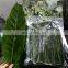 Frozen Dong Leaves High Quality WHOLESALE PRICE From VIETNAM