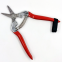 Garden Branch Cutting Scissors Tree Pruning Tool Stainless Steel Pointed Pruning Shears With Plastic Handle