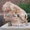 Marble Animal Statue Lion Stone Carving