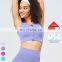 Wholesale High Support Sports Bra Shockproof Yoga Underwear Fitness Yoga Top Front Zipper Sports Bra For Women With Fixed Pads