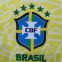2425 Copa America Brazil Home Fan Edition Men's Short Sleeve Quick Drying T-shirt Top Customized by Neymar