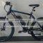 Trendy design electric bicycle mountain bike