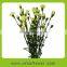 Pure and mild flavor crazy selling diversified in packaging inflatable carnation cut flower
