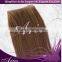 Skin Weft Echthaar PU Tressen Hair Extensions