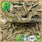 Sunflower Seeds Chinese Vegetable Seeds