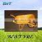 France Model wheel barrow WB6400(air wheel&solid wheel)