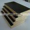 Film faced shuttering plywood for construction corrosion resistant waterproof