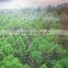 environmentally friendly UV printed ten years color last natural secenery mural wallpaper