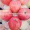 new season Fresh fuji apple good quality red fuji apple