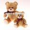 Make Sound Toys Luxury Eco Plush Bear Toy Teddy Bear Soft Toy Making