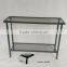 Fashion plating finishing 2 tiers storage rack