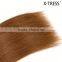 cheap wholesale 100%human hair 6# chestnut brown straight Brown brazilian remy human weft 105g