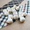 16inch Strand 14*7MM Bone Shape White Turquoise Beads,white Stone Beads,bone Beads 3010027