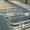 Factory supply High quality horse stable
