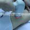 2 years warranty distributors wanted trending hot products permanent hair removal diode laser 808nm machine