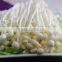 Fresh mushroom/Fresh Enoki for sale