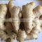 Fresh ginger, air dried fresh ginger, chinese fresh ginger