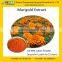 High Quality Marigold Lutein Supplement -GMP Factory