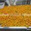 canned fruits in syrup yellow peach
