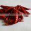 High Quality Chaotian Chilli