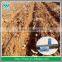 PE Layflat Irrigation Water Hose For Farming Agricultural Drip Irrigation System