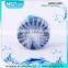 Blue Bubble Toilet Bowl Cleaner Detergent Chemicals
