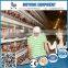 chicken brooder cage for 1 day old baby chicks design for poultry farm