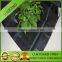 Ground cover net