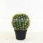 SJ3001020 Evergreen giant plastic cactus ball
