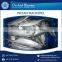 Best Quality Widely Demanded Indian Mackerel with Long Shelf Life at Best Price