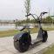 2017 zhejiang factory direct selling electric bike 48v fat tire citycoco with suspension