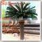 guangzhou supplier wholesale artificial cycas revoluta tree bonsai fake cycas revoluta