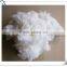 Pure virgin HCS-hollow conjugated silicon fiber