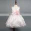 2017 new hot sell birthday party princess pettiskirt, printing dress