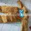 HI CE made in China customized mascot costume for adult size,bear mascot costume for hot sale