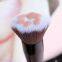 2019 New Cat-pad Multifunction Portable Powder Brush Blush Brush Cosmetic Brush Makeup Brush OEM Manufacture
