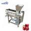 Spiral Fruit/Vegetable/Pineapple/Lemon/Carrot/Ginger Juice Extractor Squeezing Machine
