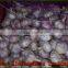 Chinese 2016 Fresh Garlic Price Purple/Red/Pure White Garlic