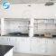 Lab Furniture Steel Structure Fume Hood