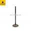 Manufacturer Auto Engine Parts Intake Valve For BMW E60/E66/N52 11347553771 1134 7553 771