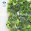 BRC Certified IQF Frozen Broccoli with Competitive Price