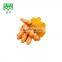 Color Material of Turmeric Root Extract Powder Curcumin 95%